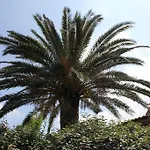 Playa Del Oro