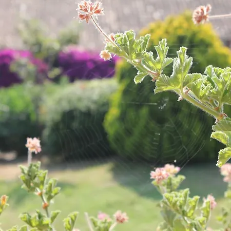 Feriepark Playa Del Oro *