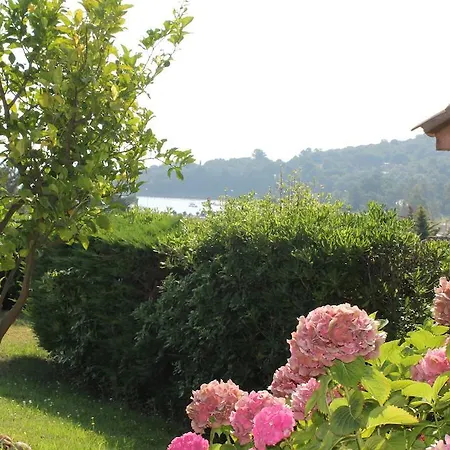 Playa Del Oro Favone