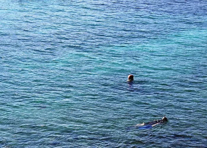 Playa Del Oro * Favone