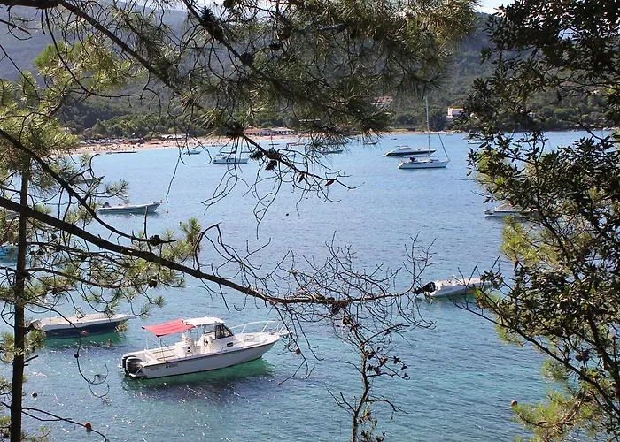 Playa Del Oro
