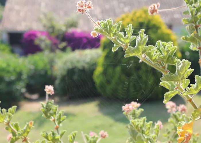 Vakantiepark Playa Del Oro *